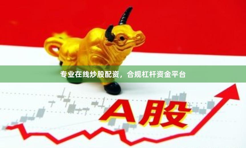 专业在线炒股配资，合规杠杆资金平台