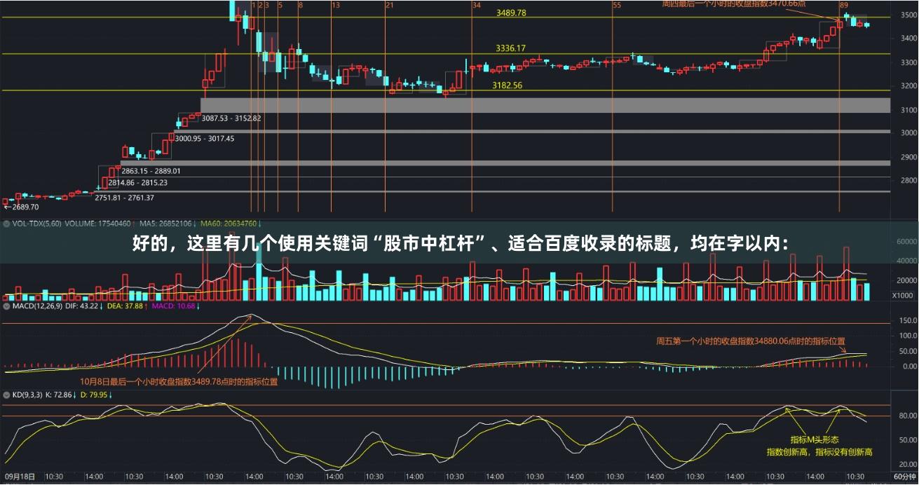 好的，这里有几个使用关键词“股市中杠杆”、适合百度收录的标题，均在字以内：